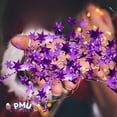 thumbnail image 6 of PMU 75 Ft Purple Star Garland – Shiny Tinsel Wire Garland for Christmas, Halloween, Wedding & Birthday Party Decor, Holiday Garlands Ornament for Festive Home Decoration (3pc-25Ft Each), 6 of 7