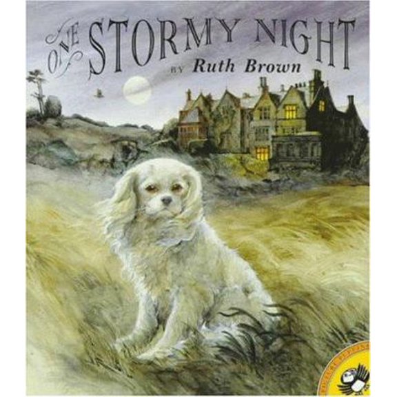 Pre-Owned One Stormy Night (Picture Puffins) (Paperback) 014056229X 9780140562293