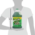 thumbnail image 6 of Mean Green Multi-Purpose Pressure Washer Ultra Concentrate, 1 gallon, 6 of 7