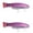 c, variant on Bisitoy 2Pcs Jerkbait Fishing Lures Set with Suspending Feature for Clear Water