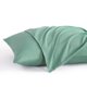 thumbnail image 1 of Ntbay King Juego De 2 Fundas De Almohada De Microfibra Cepillada De 20 X 36 Pulgadas, Fundas De Almohada Suaves, Resistentes A Las Arrugas, Resistentes A Las Manchas, Color Verde Menta Con Cierre De S, 1 of 5