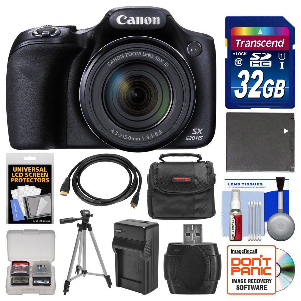 Canon PowerShot SX530 HS WiFi Digital Camera with 32GB Card + Case