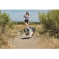 thumbnail image 6 of Chuckit! Whistler Dog Ball Rubber Fetch Toy for Dogs, Medium 2.5", for Breeds 20-60 lb, Pack of 1, Assorted, 6 of 9