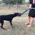 thumbnail image 3 of ziyahi Spring Pole Dog Rope Toy Dog Tug of War Toy Outdoor Hanging Exercise Rope for Pet, 3 of 6