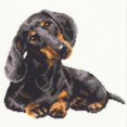thumbnail image 3 of Riolis Counted Cross Stitch Kit 9.75"X9.75"-Dachshund (15 Count), 3 of 3