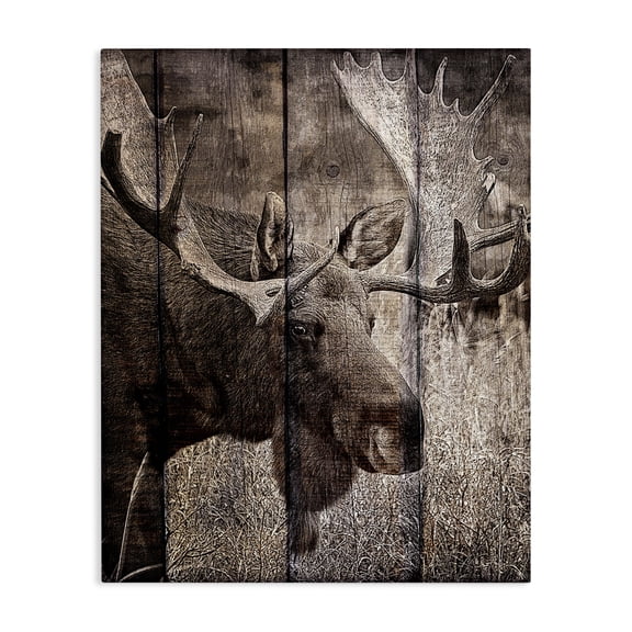 Stupell Industries Farmhouse Brown Moose Planked Look Photography Canvas Art, 16 x 20, by Kim Allen