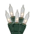 thumbnail image 1 of Vickerman 100 Clear Mini-Light on Green Wire 46' Christmas Light Strand -W5G0911, 1 of 1