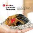 thumbnail image 5 of Perfect Petzzz - Mini Yorkie, Stuffed Animals for Girls and Boys, Dog Toys for Kids and Elderly, Battery-Operated Live Pet Toys, Companion Realistic Dog Calming Toys with Synthetic Fur, 5 of 8