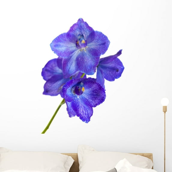 Delphinium Wall Mural Decal by Wallmonkeys Vinyl Peel and Stick Graphic (36 in H x 27 in W)