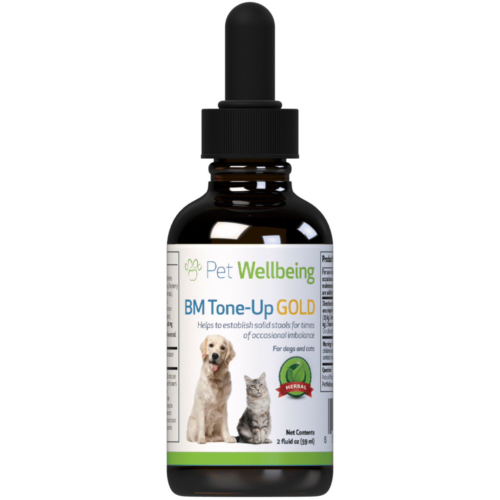 Pet Wellbeing Natural Diarrhea Treatment For Dogs Bm Tone Up Gold 2oz