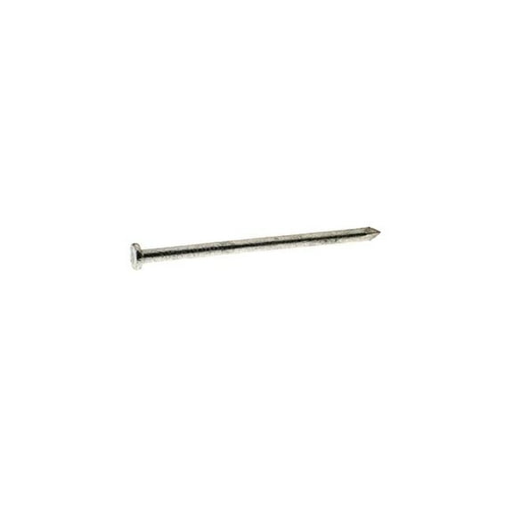 3.25 in. 12D Common Hot-Dipped Galvanized Steel Nail Flat Head, Gray - 50 lbs