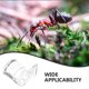 thumbnail image 3 of Moluckfu 2Ud Comedero Transparente Para Reptiles De Multifuncional Para Mascotas, 3 of 8