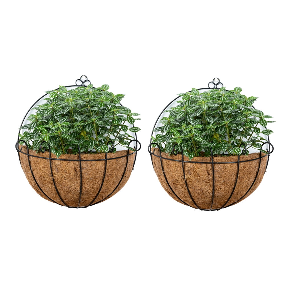 Details about   Hanging Coconut Vegetable Flower Pot Basket Liners Planter Garden Decor Art HOT✨ 