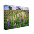 thumbnail image 3 of Stupell Wild Lavender Field Grassland Landscape Photography Gallery Wrapped Canvas Print Wall Art, 3 of 5