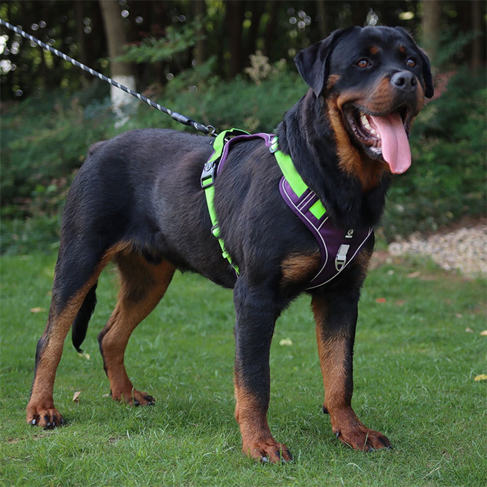 Reflective Dog Harness Leash Set Breathable Mesh Adjustable Pet Vest Chest Strap Anti Pull Safety Walking Harness for Small Medium Dogs Cats Outdoor Training Walking Control Lead Set