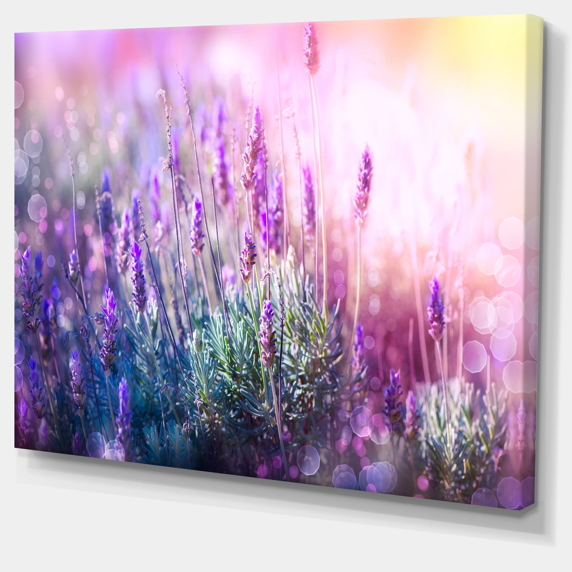 Designart 'Growing and Blooming Lavender ' Floral Canvas Art print