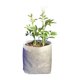 thumbnail image 1 of Bolsas de vivero de plantas no tejidas Macetas de plántulas de tela Contenedor Bolsa de plántulas de cultivo de plantas degradables Bolsas de arranque de semillas biodegradables para plantar flor, 1 of 5