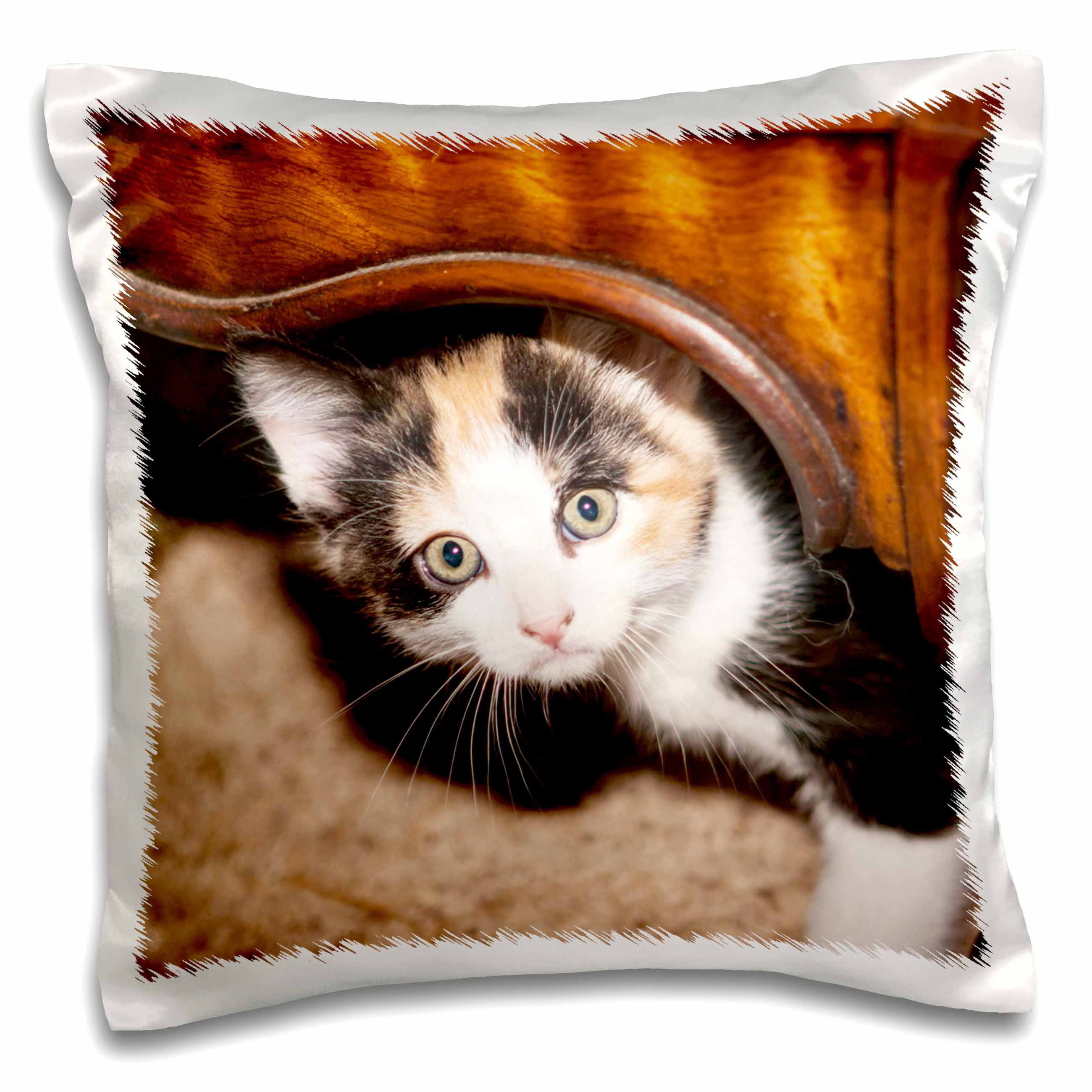 3D Rose Domestic Calico Cat Peeking Out-Na02 Pwo0010-Piperanne Worcester Towel 15 x 22