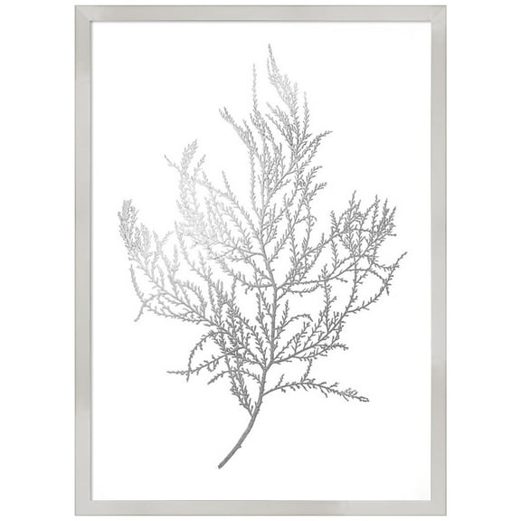 Amanti Art Grey Algae III Wood Framed Wall Art Print