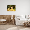 thumbnail image 2 of Stupell Industries Fox Watching Autumn Leaves Photograph Gray Framed Art Print Wall Art, Design by Carrie Ann Grippo-Pike, 2 of 8
