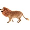 thumbnail image 5 of Melena de león para perros JAMW complementaria para disfraces para perros medianos a grandes, 5 of 5