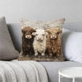thumbnail image 4 of ddioayh Throw Pillow Cover Animal Print Soft Machine Washable 45x45cm for Sofa Chair Bedroom Home Decor Spring Easter Pet Theme Decorative Gift Idea, 4 of 6