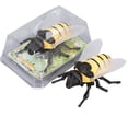 thumbnail image 5 of Ckraxd Realistic Interactive Insect Toy Collection, Educational Insect Models, Plastic Bug Figures, Educational Play Tool, Indoor Outdoor Use, Great for Parties and Decorations, 5 of 8