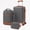 Gray, variant on 3 Piece Luggage Set with Backpack, Lightweight Hard Shell Suitcase Set, TSA Lock Travel Luggage with Spinner Wheels, 20 Inch Carry On Suitcase and Travel Bag for Men & Women, Beige