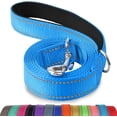 thumbnail image 1 of LAICAIW Double-Sided Reflective Dog Leash, 6 FT/5 FT/4 FT, Padded Handle Nylon Dogs Leashes for Small & Medium Dogs Walking, Sky Blue, 6FT, 1 of 7