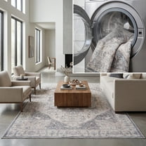 SAFAVIEH Arizona Emelly Medallion Machine Washable Area Rug, Beige/Grey, 6' x 9'