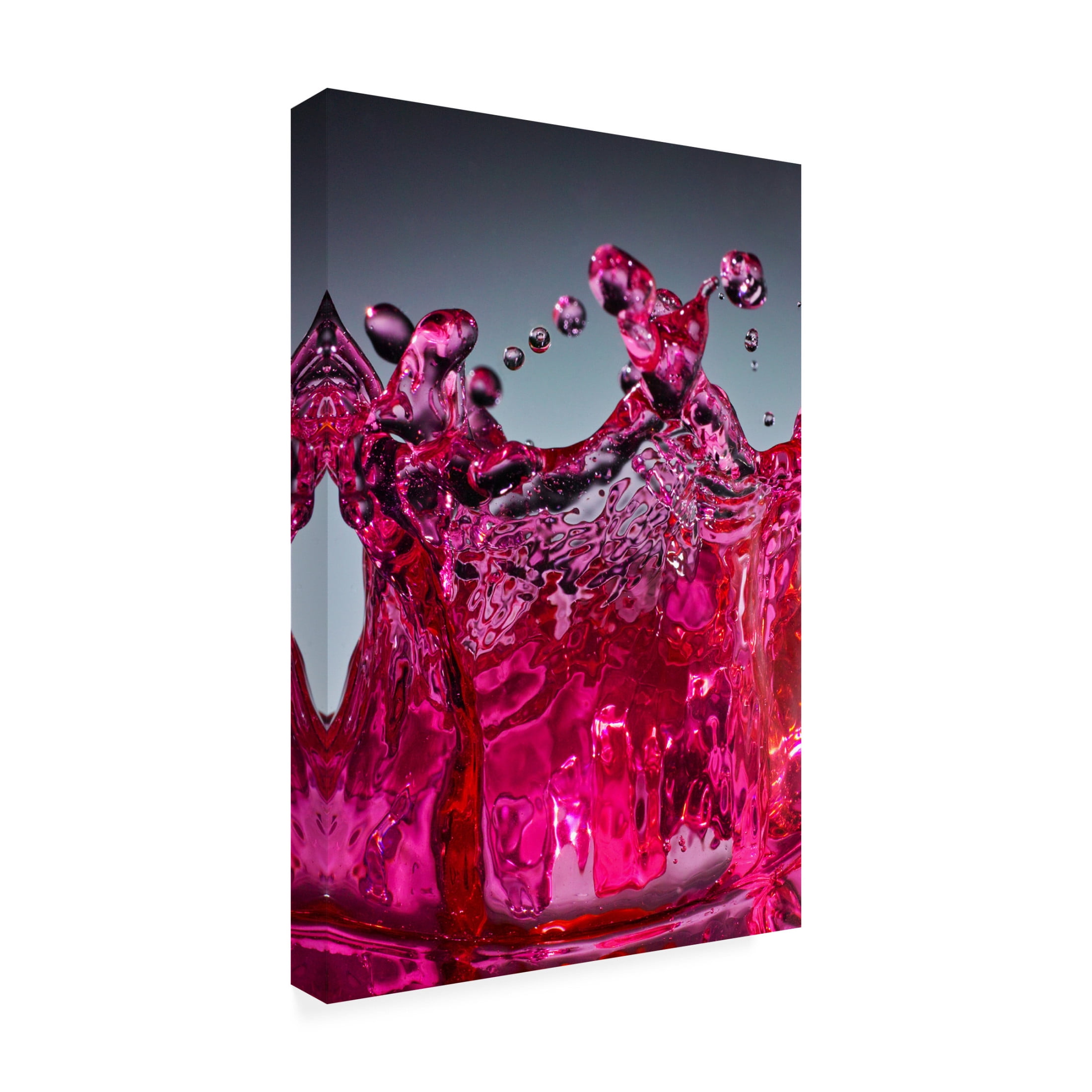 Trademark Fine Art TOSHIO TANEDA water jewelry Canvas Wall Art