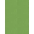 thumbnail image 1 of Ahgly Company Machine Washable Indoor Rectangle Transitional Dark Lime Green Area Rugs, 2' x 3', 1 of 7