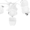 thumbnail image 3 of Sonew Baby Tooth Collect Box, Baby Teeth Box,5pcs Plastic Baby Milk Tooth Storage Box with Rope Tooth Saver Necklaces, 3 of 7