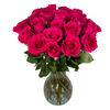 25 Fresh Cut Hot Pink Fresh-Cut Roses with Free Hand-Blown Glass Vase (Fresh-Cut Roses, Hot Pink)