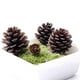 thumbnail image 4 of Paquete a granel de madera natural YEXPRESS de piña, paquete de 24, 4 of 8