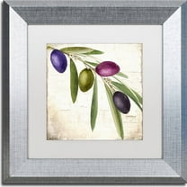 Trademark Fine Art "Olive Branch IV" Canvas Art by Color Bakery, White Matte, Silver Frame