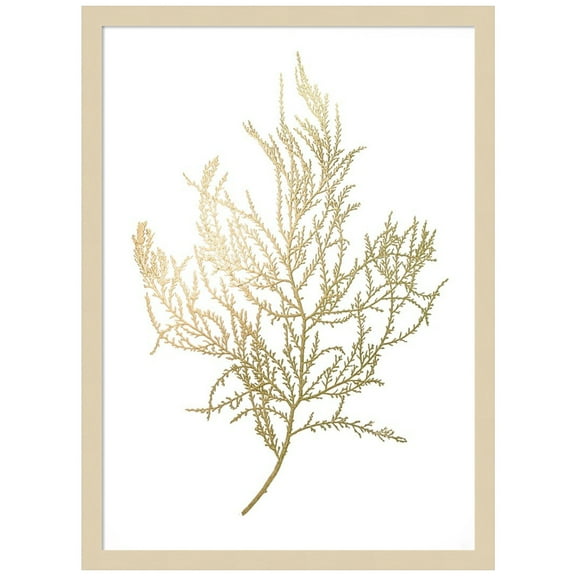 Amanti Art Neutral Algae III Wood Framed Wall Art Print