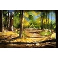 thumbnail image 1 of Forest Path - CANVAS OR FINE PRINT WALL ART, 1 of 1