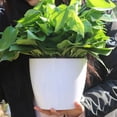 thumbnail image 3 of Cheer US 6Pcs/Set Self Watering Plastic Planter,Plastic Flower Plant Pot with Inner Pot,Self Watering Planter White Flower Pot for Herbs,Flowers,All House Plants,Succulents, 3 of 7