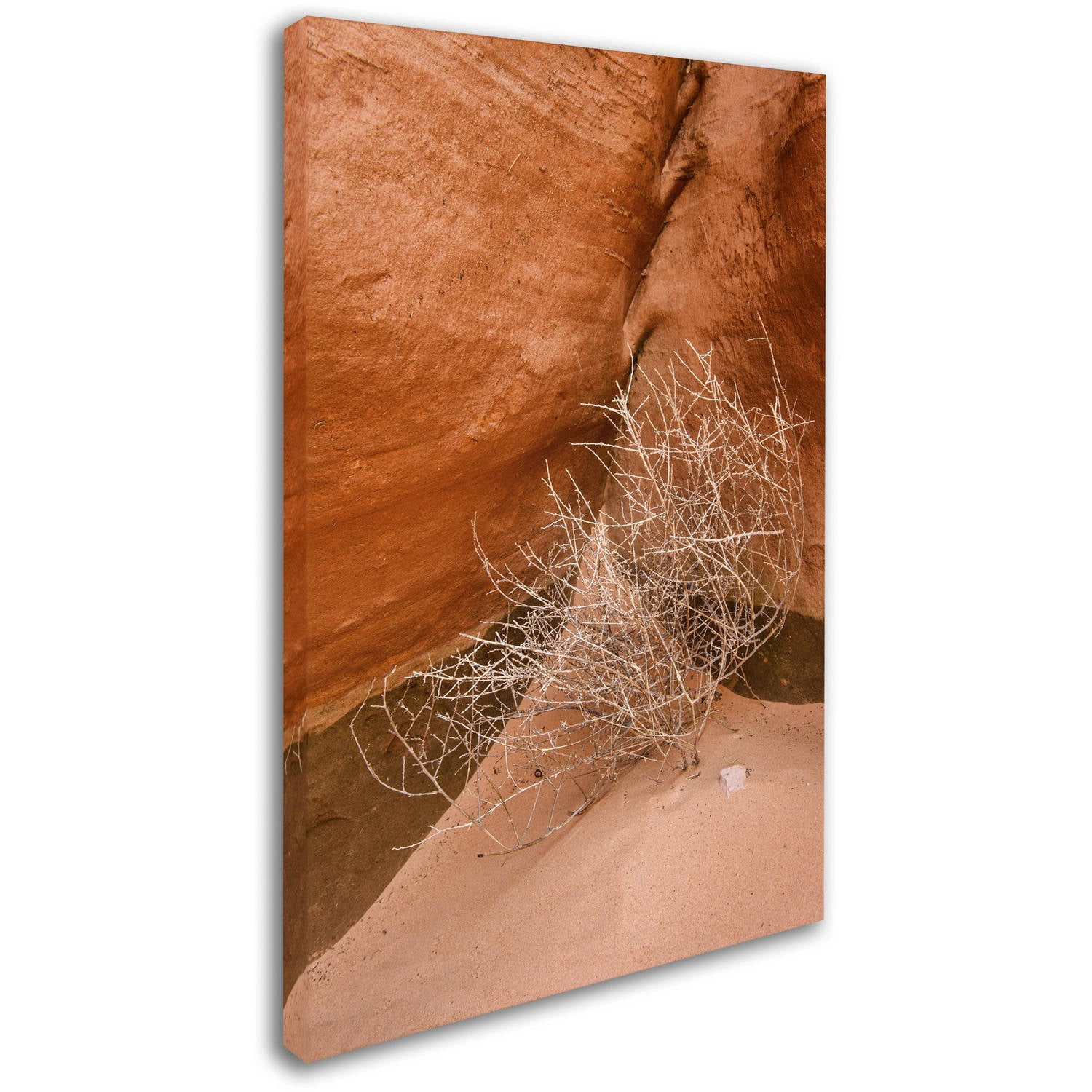 Trademark Fine Art 'Tumbleweed' Canvas Art by Michael Blanchette Photography
