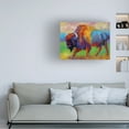 thumbnail image 2 of Trademark Fine Art Marion Rose Journey Unknown Canvas Wall Art - 35x47, 2 of 5