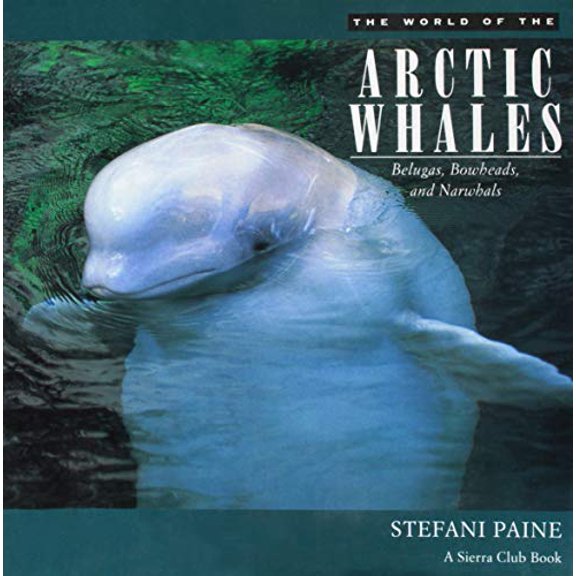 Pre-Owned The World of the Arctic Whales: Belugas, Bowheads, and Narwhals (Hardcover) 0871563789 9780871563781
