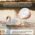 thumbnail image 3 of Queen Size Down Comforter - All Season Ultra Soft Goose Down & Feather Fiber Fill, Luxury Hotel Pink Duvet Insert with Corner Tabs (88" X 88"), 3 of 5