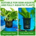 thumbnail image 6 of New for 2025 Aquarium Plant Holder with 1.57-inch Extension Hooks and Suction Cups for Fish Tank Aquaponic Plant Cultivation and Aquascape Decorations Accessories (4 PCS), 6 of 10