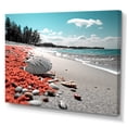 thumbnail image 2 of Designart "Beach Seashell Euphony" Nautical & Beach Canvas Art Print, 2 of 5