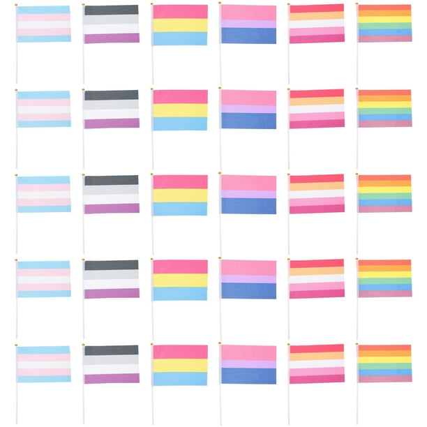 EeaseMX Bandera arcoíris de poliéster de 30 piezas, bandera del orgullo LGBT, pancarta portátil para exteriores para fiesta