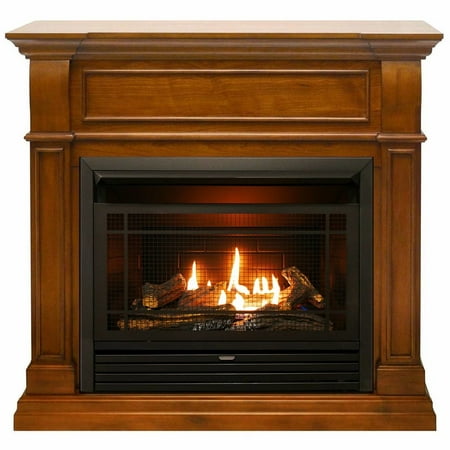 

Duluth Forge Dual Fuel Ventless Gas Fireplace - 26 000 BTU T-Stat Control Apple Spice Finish