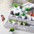 thumbnail image 3 of Brandonz Dollhouse Miniature Plant Set 13pcs Bonsai Potted Greenery Flower Ornament, 3 of 6