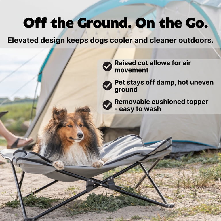 Trixie Elevated Camping Cot, Folding Dog Bed, Raised Travel Lounger for Medium-Large Dogs