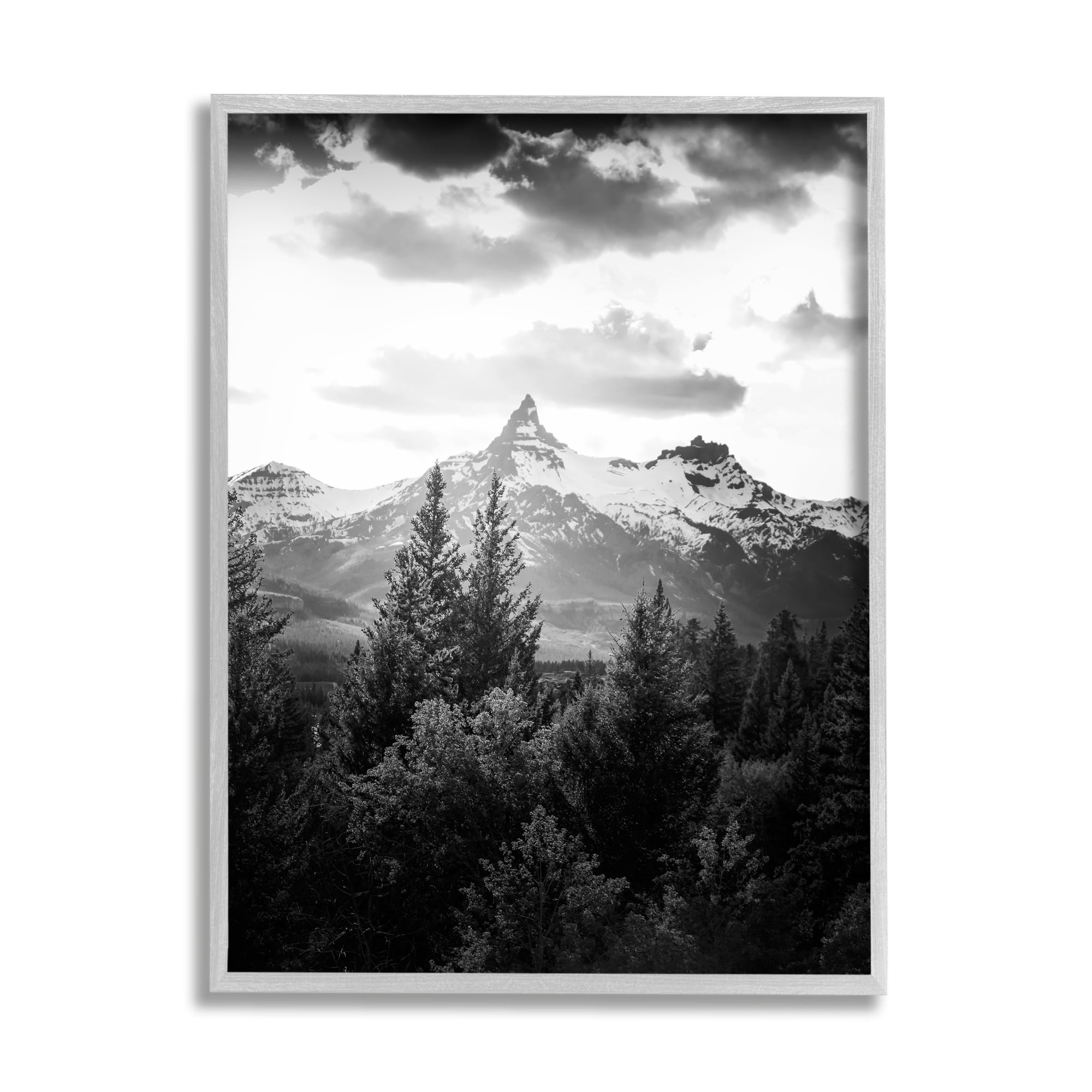 Stupell Industries Mountain Range Cloudy Sky Landscape Tall Tree Photography, 24 x 30, Design by Daniel Sproul